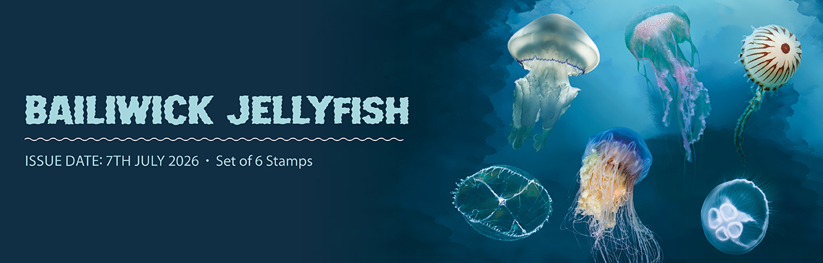 Bailiwick Jellyfish